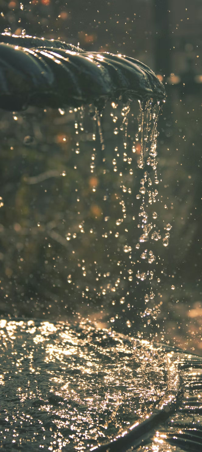 Agua